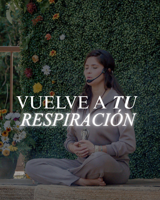 Vuelve a tu respiración