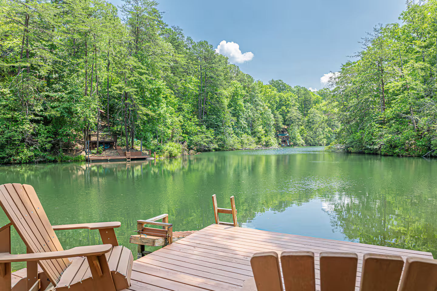 EARTHING retiro en Asheville