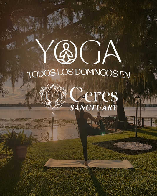 Domingos de YOGA